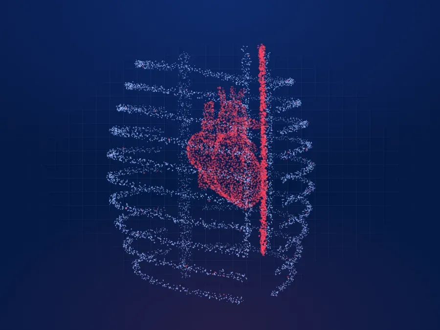 Göğüs kemiği ortadan boydan boya kesilmiş göğüs kafesi, noktalı 3D model